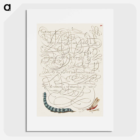 アートポスター-Caterpillar and Insect from Mira Calligraphiae Monumenta
 - 書道のお手本 Poster.