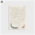 アートポストカード-Caterpillar and Insect from Mira Calligraphiae Monumenta
 - 書道のお手本 Postcard.