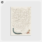 アートポストカード-Caterpillar and Insect from Mira Calligraphiae Monumenta
 - 書道のお手本 Postcard.