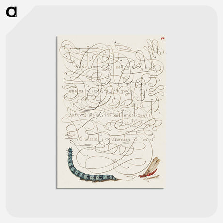 アートポストカード-Caterpillar and Insect from Mira Calligraphiae Monumenta
 - 書道のお手本 Postcard.