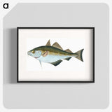 1-45_The-Natural-History-of-British-Fishes_blk
