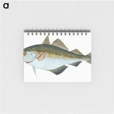 1-45_The-Natural-History-of-British-Fishes_memo