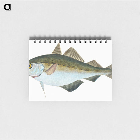 1-45_The-Natural-History-of-British-Fishes_memo