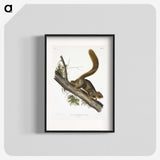 1-45_The-Viviparous-Quadrupeds_blk