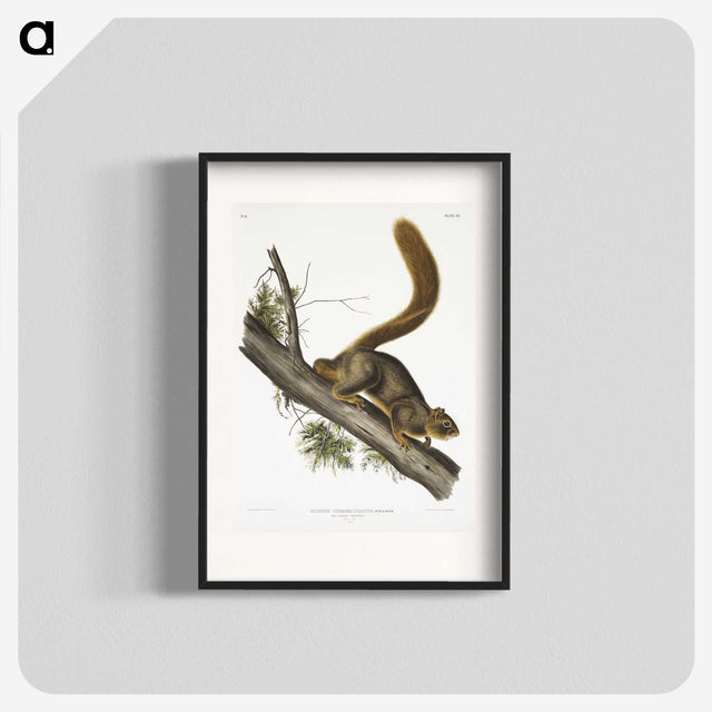 1-45_The-Viviparous-Quadrupeds_blk