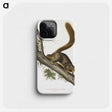 1-45_The-Viviparous-Quadrupeds_phone