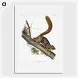 1-45_The-Viviparous-Quadrupeds_picture