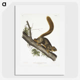 1-45_The-Viviparous-Quadrupeds_picture