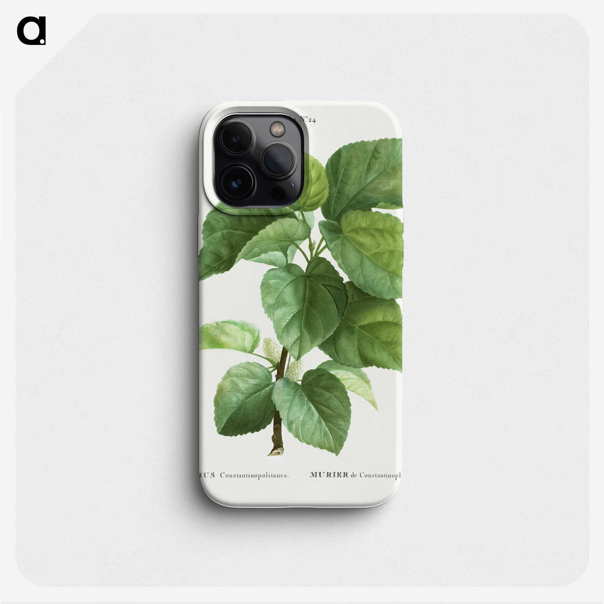 1-45_Treatise-on-Trees-and-Shrubs_phone