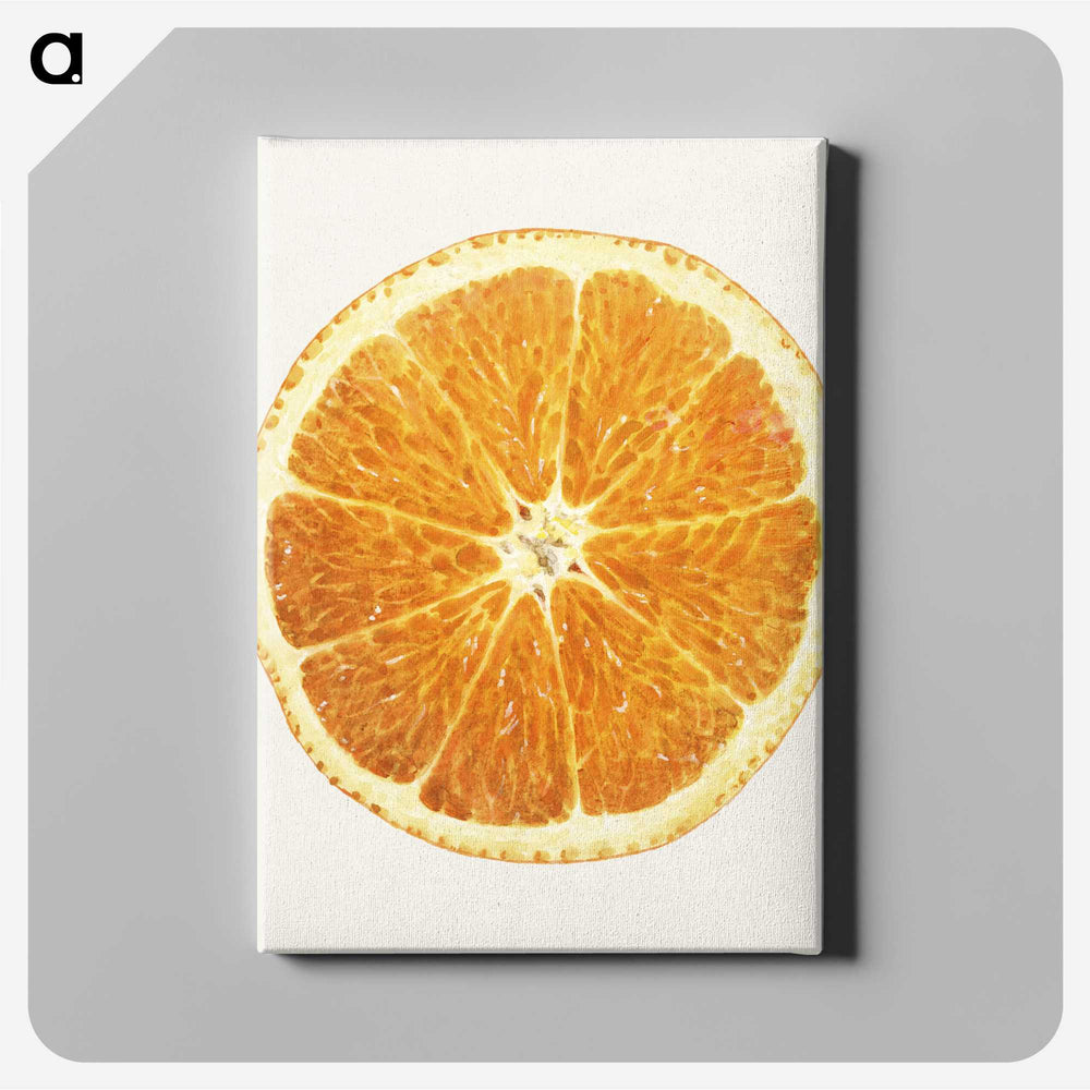 1-45_USDA-Watercolor-Fruit-Painting-Collection_canvas
