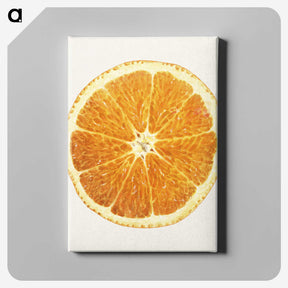 1-45_USDA-Watercolor-Fruit-Painting-Collection_canvas