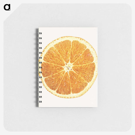 1-45_USDA-Watercolor-Fruit-Painting-Collection_memo