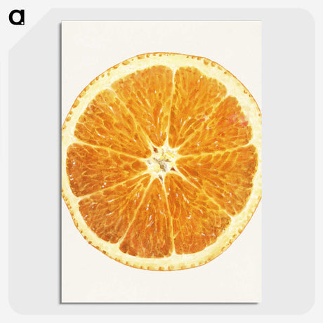 1-45_USDA-Watercolor-Fruit-Painting-Collection_picture-crop