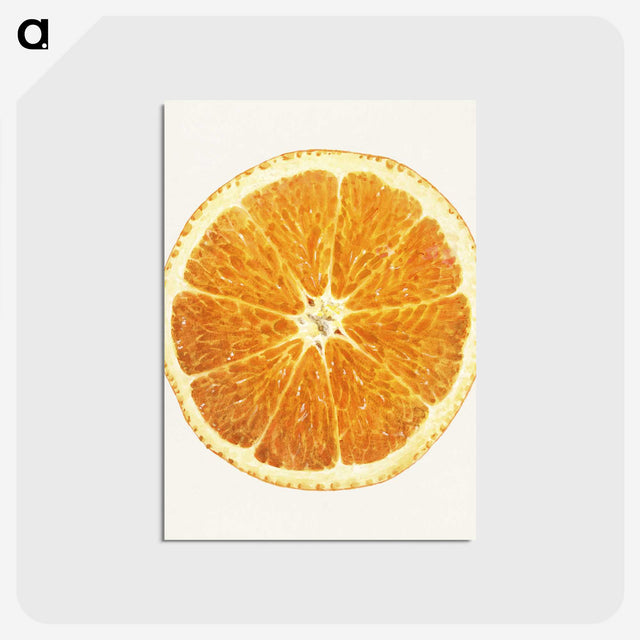 1-45_USDA-Watercolor-Fruit-Painting-Collection_postcard