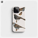 The White-crowned Sparrow (Fringilla graminea)  The Snowbird (Struthus hyemalis)  The White-crowned Sparrow (Fringilla leucophrys) - ニューヨークの動物学 Phone Case.