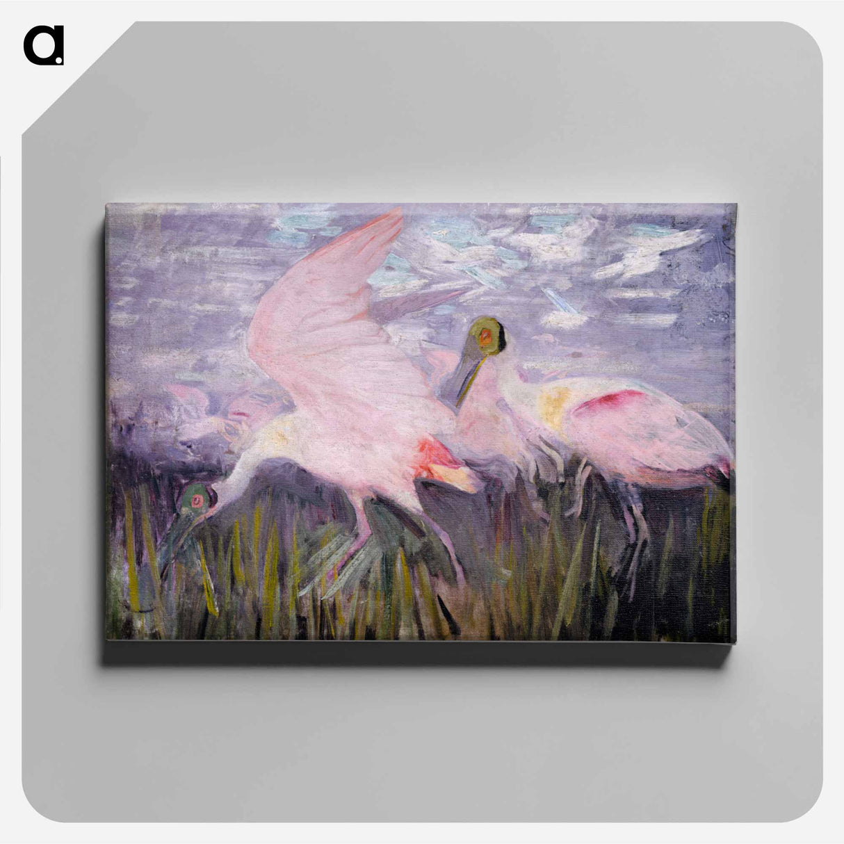Roseate Spoonbills - アボット ハンダーソン セイヤー Canvas.