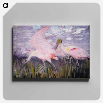 Roseate Spoonbills - アボット ハンダーソン セイヤー Canvas.