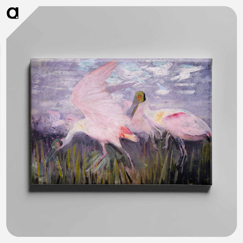 Roseate Spoonbills - アボット ハンダーソン セイヤー Canvas.