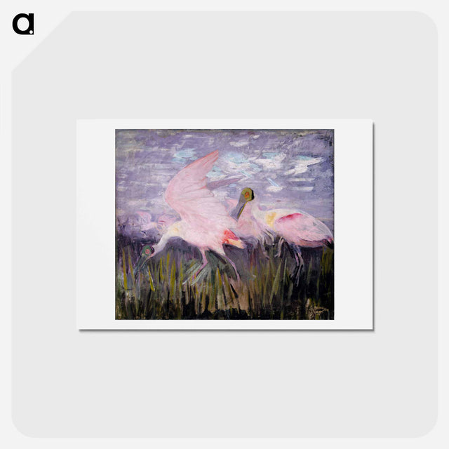 アートポストカード-Roseate Spoonbills - アボット ハンダーソン セイヤー Postcard.