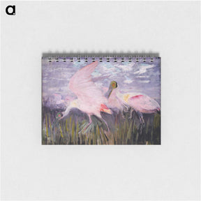 アートメモ帳-Roseate Spoonbills - アボット ハンダーソン セイヤー Memo.
