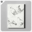 1-46_Aert-Schouman_canvas