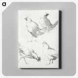1-46_Aert-Schouman_canvas