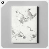 Four chickens - アールト シューマン Canvas.