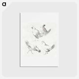 Four chickens - アールト シューマン Postcard.