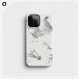 1-46_Aert-Schouman_phone