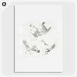 1-46_Aert-Schouman_picture