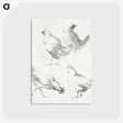 1-46_Aert-Schouman_postcard