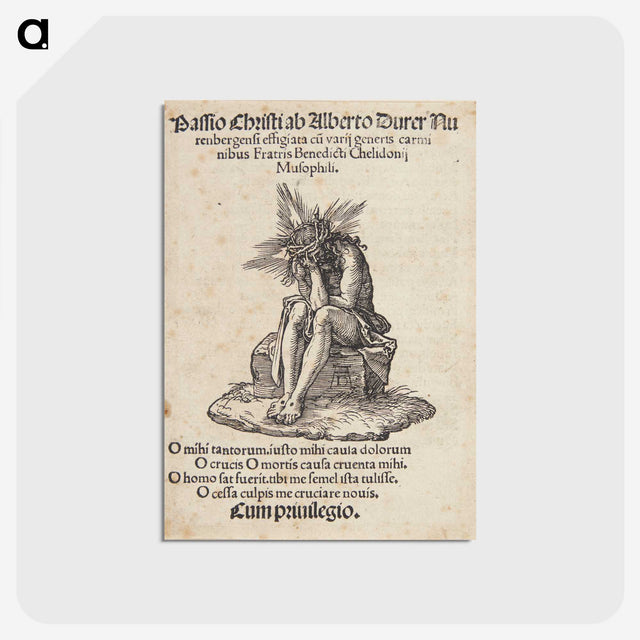 1-46_Albrecht-Durer_postcard
