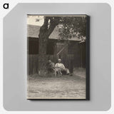 Richard, Lake George - アルフレッド スティーグリッツ Canvas.