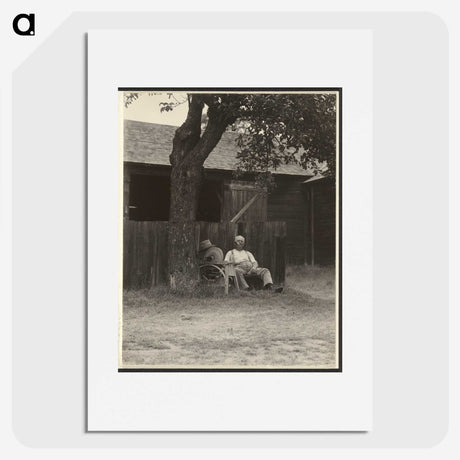 1-46_Alfred-Stieglitz_picture