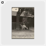 アートポストカード-Richard, Lake George - アルフレッド スティーグリッツ Postcard.