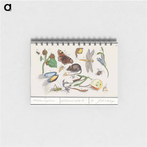 アートメモ帳-Natural History Ensemble, no. 15 - アンセルムス ボエティウス デ ブート Memo.