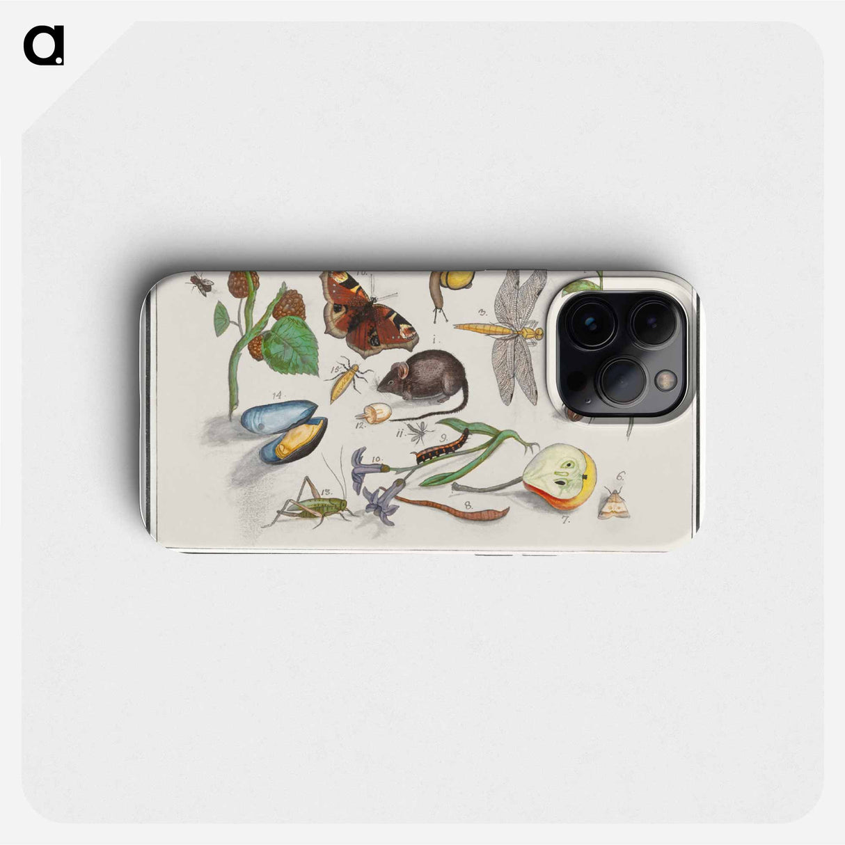 Natural History Ensemble, no. 15 - アンセルムス ボエティウス デ ブート Phone Case.