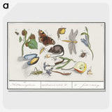 1-46_Anselmus-Boetius-de-Boodt_picture-crop