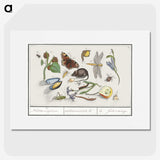 1-46_Anselmus-Boetius-de-Boodt_picture