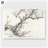 1-46_Bairei-Gakan_picture-crop