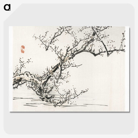 1-46_Bairei-Gakan_picture-crop