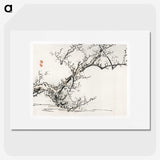 1-46_Bairei-Gakan_picture