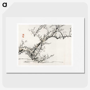 1-46_Bairei-Gakan_picture