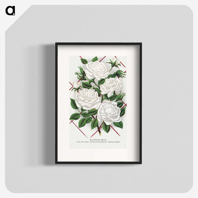 1-46_Botanical-Specimen-Plates_blk