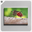 1-46_COVID-19_canvas