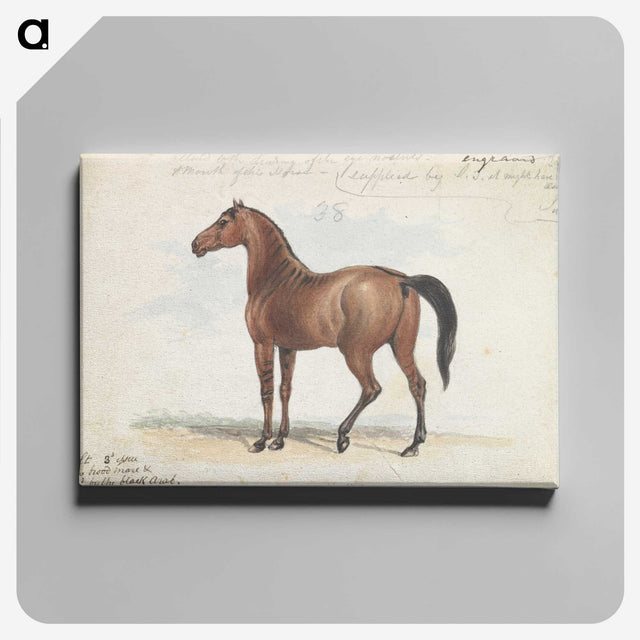 1-46_Charles-Hamilton-Smith_canvas