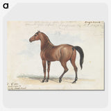 1-46_Charles-Hamilton-Smith_picture-crop