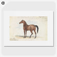 1-46_Charles-Hamilton-Smith_picture