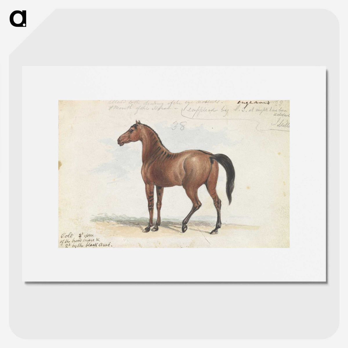1-46_Charles-Hamilton-Smith_picture