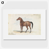 1-46_Charles-Hamilton-Smith_picture